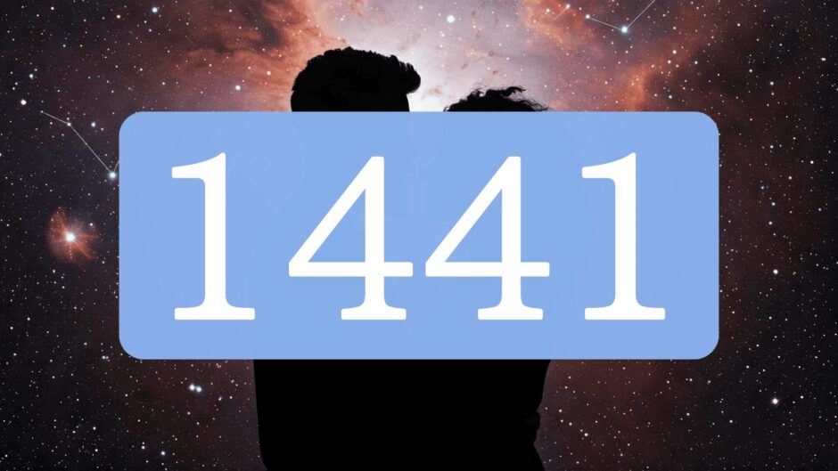 【1441】エンジェルナンバーのツインレイの意味とは？出会い・サイレント期間・統合のメッセージ