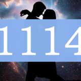 【1114】エンジェルナンバーのツインレイの意味とは？出会い・サイレント期間・統合のメッセージ